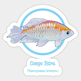 Congo Tetra Sticker